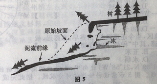 2017年新疆成人高考高起点「历史地理」真题答案及解析