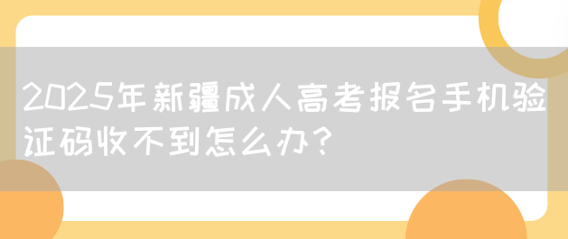 2025年新疆成人高考报名手机验证码收不到怎么办？